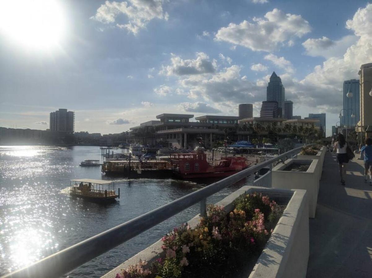 Florida Dream Vacation All New With Amenities لوتز المظهر الخارجي الصورة